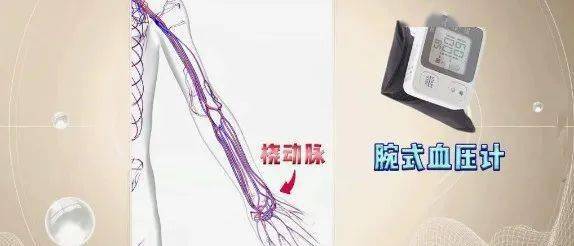 且对有周围动脉疾病,周围循环障碍的病人来说,在桡动脉处测量的血压值