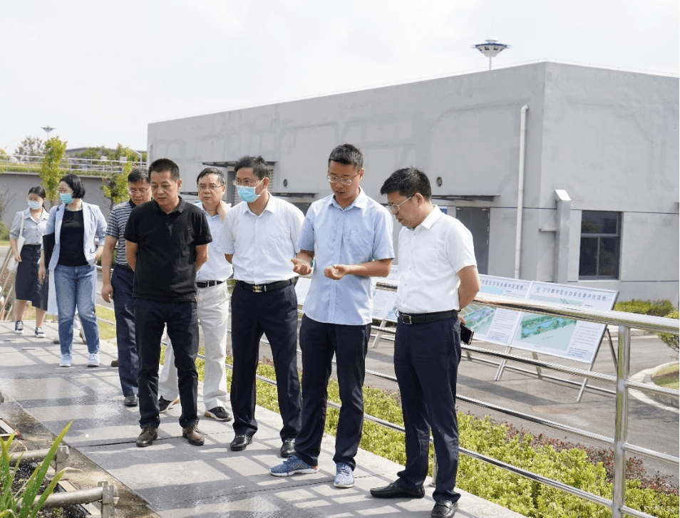 省生态环境厅总工程师王燕枫带队调研南京江宁都市型生态安全缓冲区