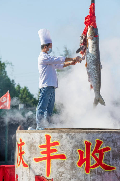 游客|万人锅炖百斤“鱼王” 河南南阳庆丰收