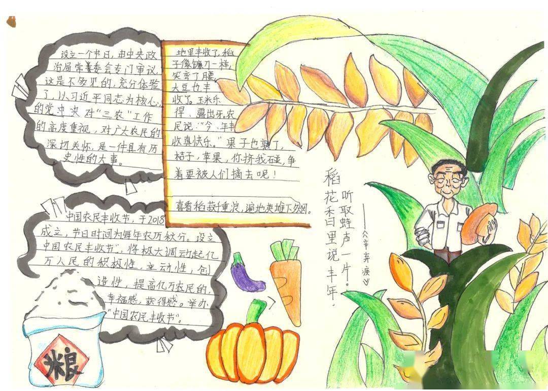 春华秋实感悟丰收让孩子感受劳动之美