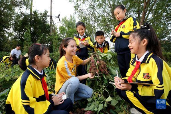 小学生的"农耕课"_实践