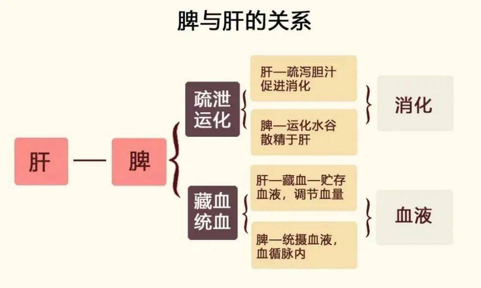 口苦不止上火那么简单治疗应从肝胆脾胃入手