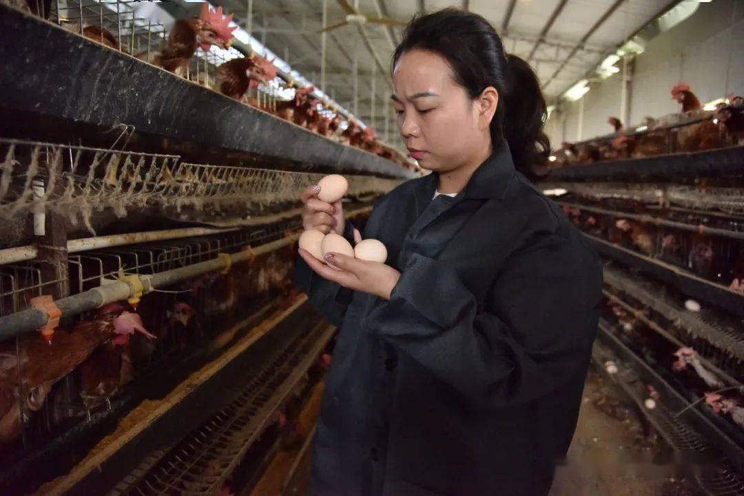 喜讯|我市赵艳丽获遵义市第四届最美创业女性称号