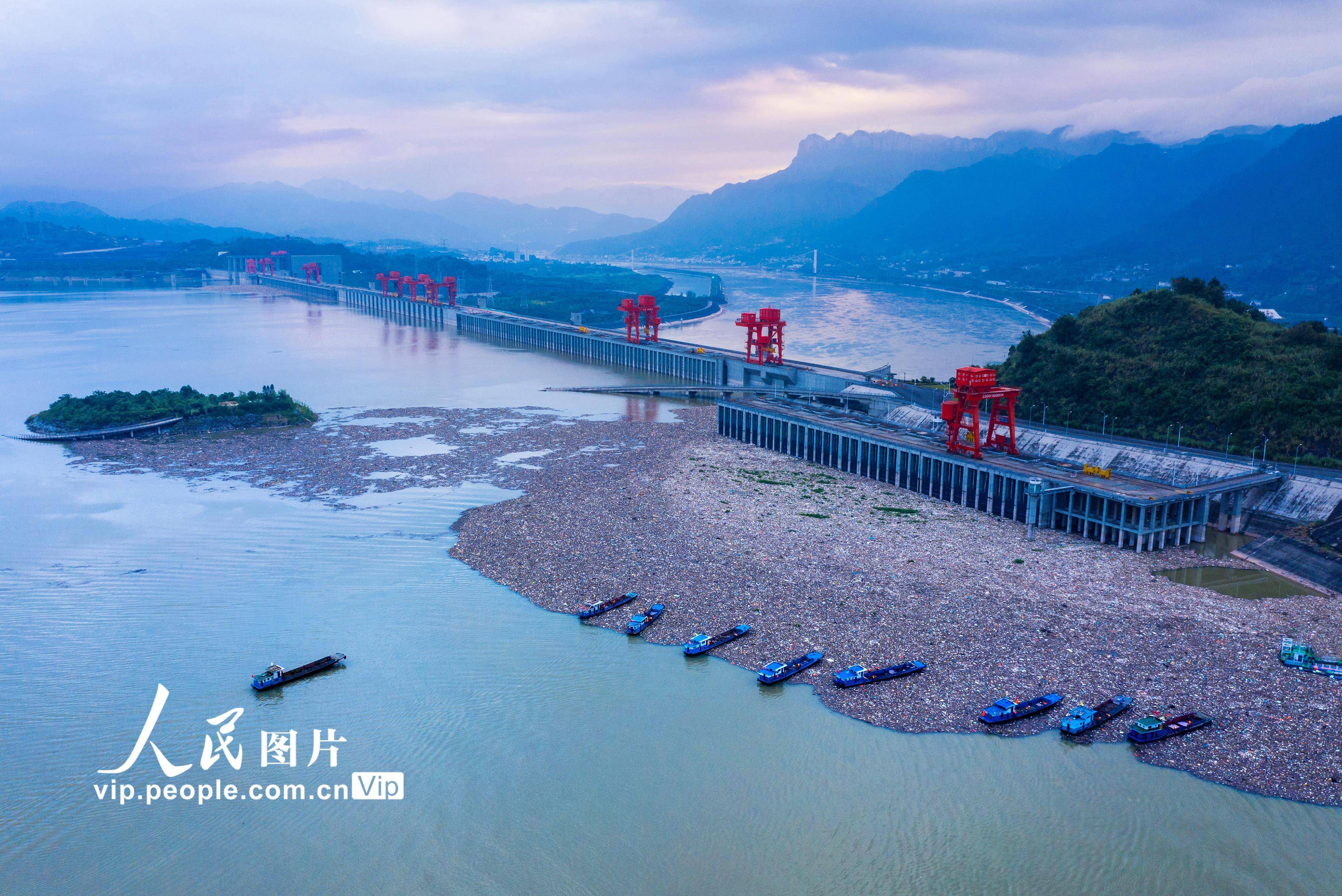 湖北宜昌:三峡坝前清漂忙