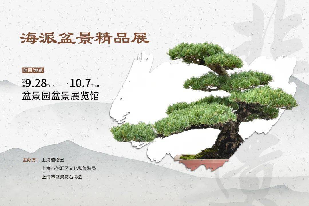 上海植物园"海派盆景精品展"明日开幕!国庆期间活动每天有