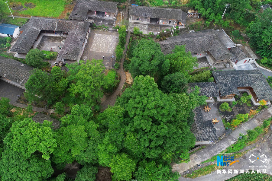 陈碧生|绘风景起风情 武陵山区生态旅游“显山露水”