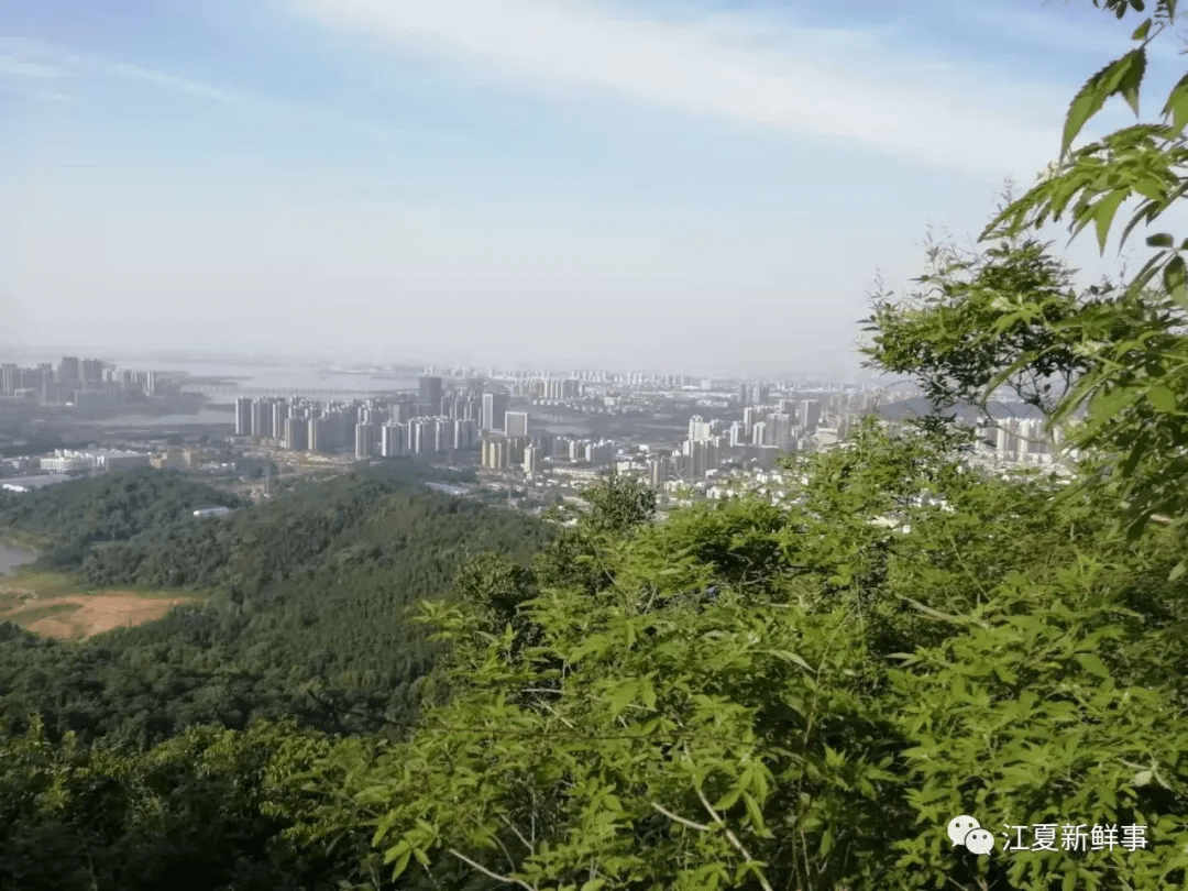 网友大篇幅建言江夏利用好八分山景点被誉为网红打卡地