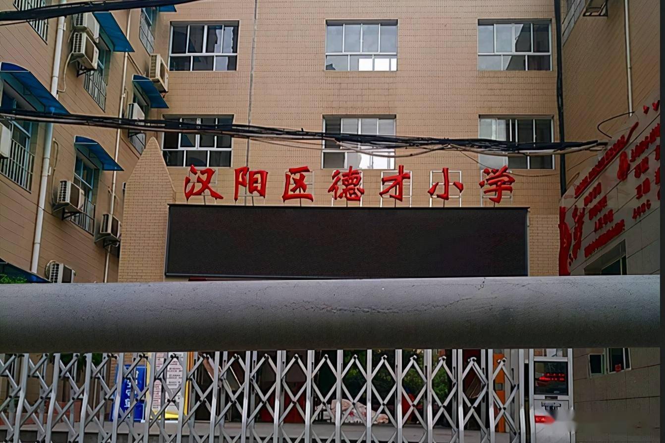 武汉汉阳区德才小学学生,深情表白我的国,挥舞国旗合唱