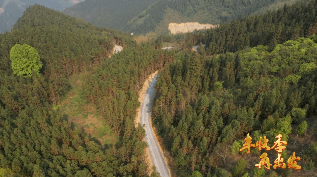 丰收季再出发丨产业路乡村振兴路