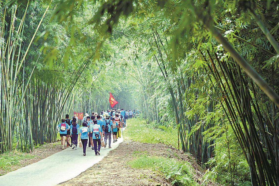 体验丰收 观赏秋色 徒步……解锁省内乡村游n种玩法