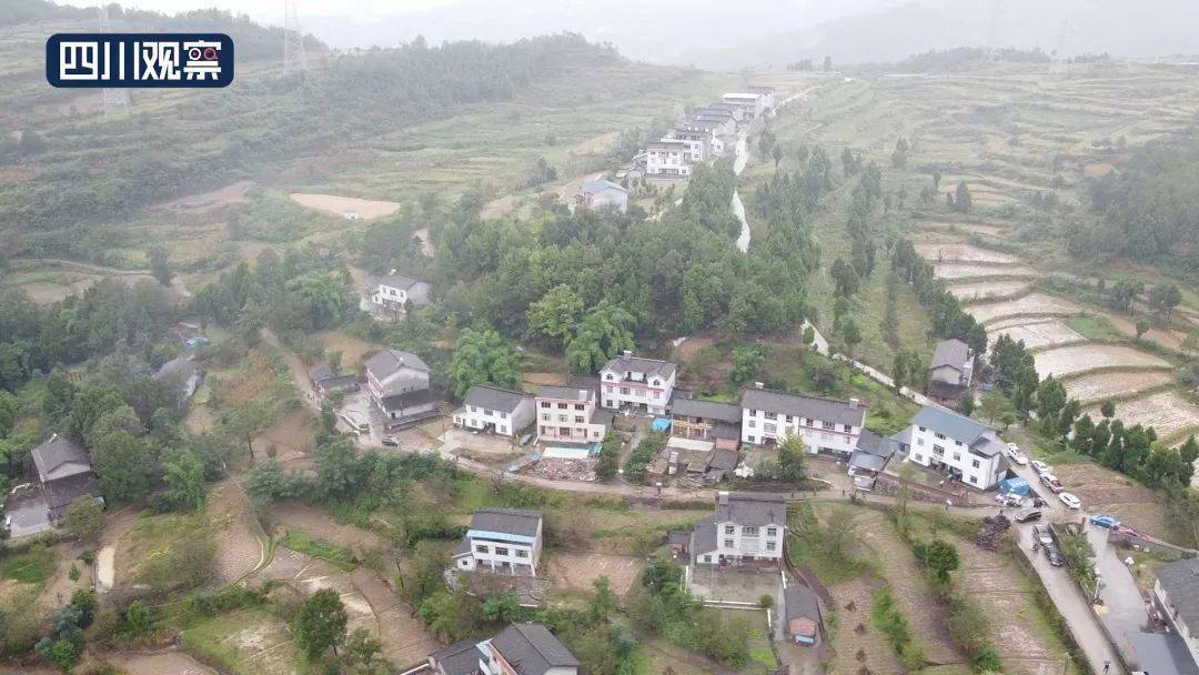 广元利州多地发生滑坡 部分房屋道路受损_荣山镇
