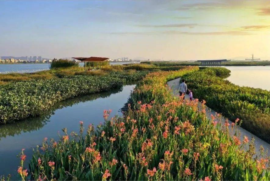 黄杨河湿地公园位于黄杨河尖峰大桥至圣狮涌段河堤以外滩涂,面积约40