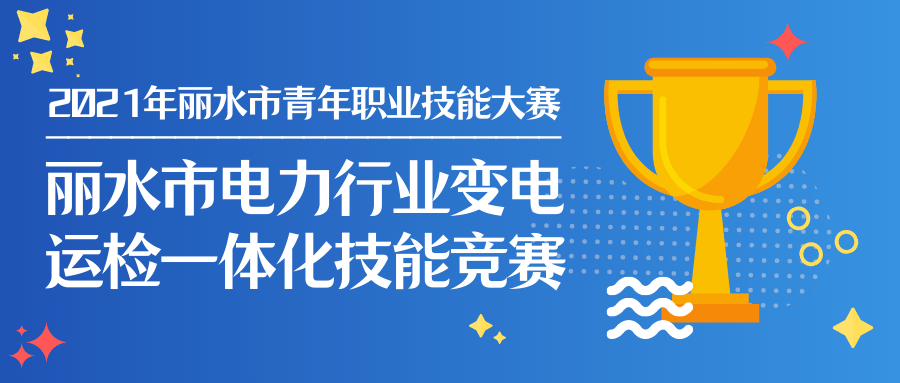 2021年丽水市青年职业技能大赛——丽水市电力行业变.