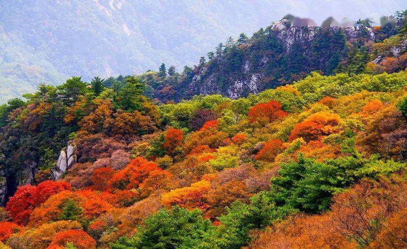 泡温泉赏红叶整整一个月尧山风景区免门票啦