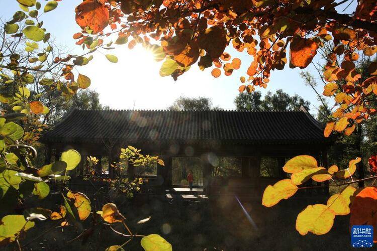 普陀宗乘之庙|承德避暑山庄及周围寺庙秋景如画