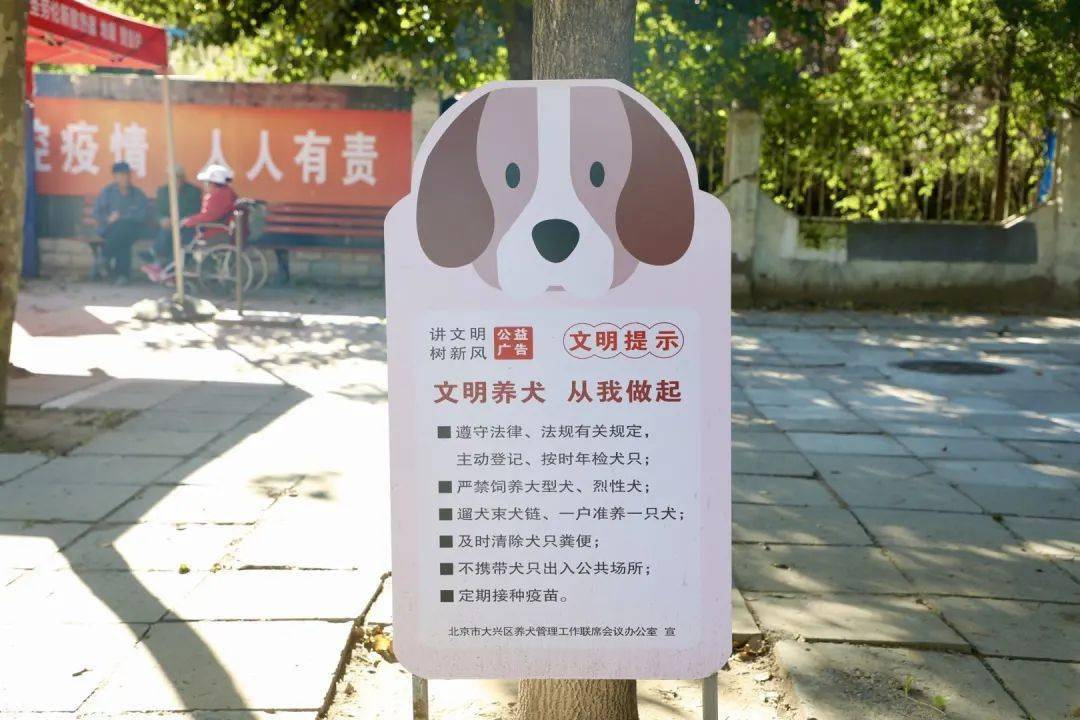 在便道,绿地旁 可爱的文明养犬卡通提示牌 号召大家从自
