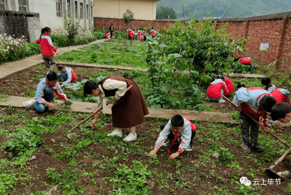 分田到班!贵州这所学校建成劳动实践基地,学生有了"自留地"