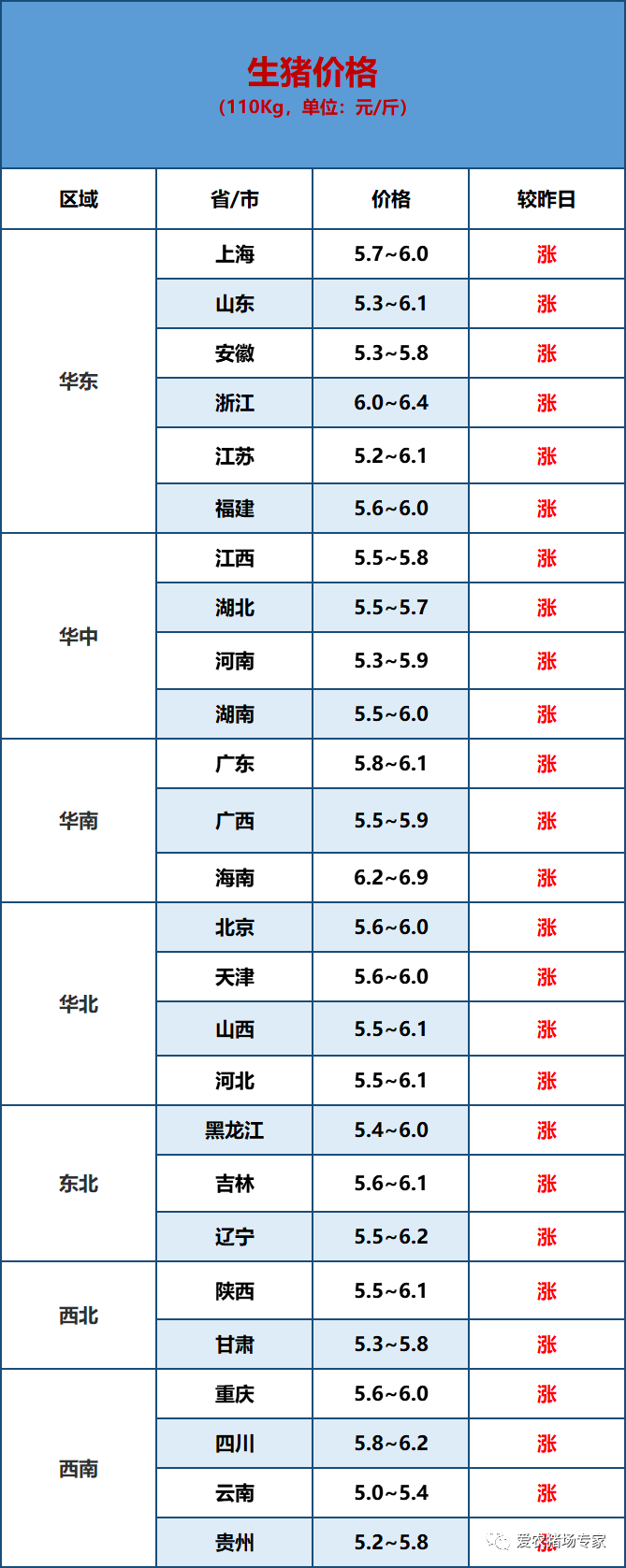 2021-10-13 猪价早知道(持续上涨)