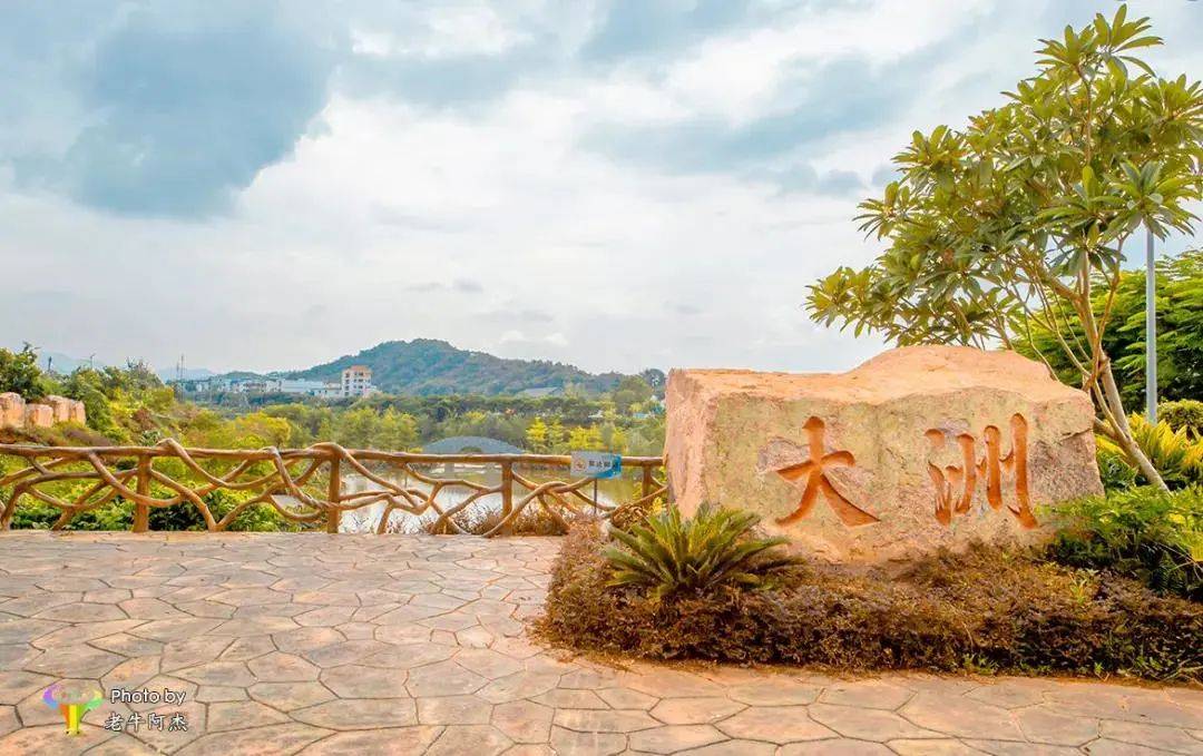 乡村振兴新画卷丨靓,这里是别有韵味的大洲镇!