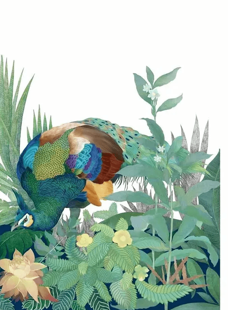 《秘境云南 发现之旅,将以插图绘本的形式,将云南的生物多样性之美