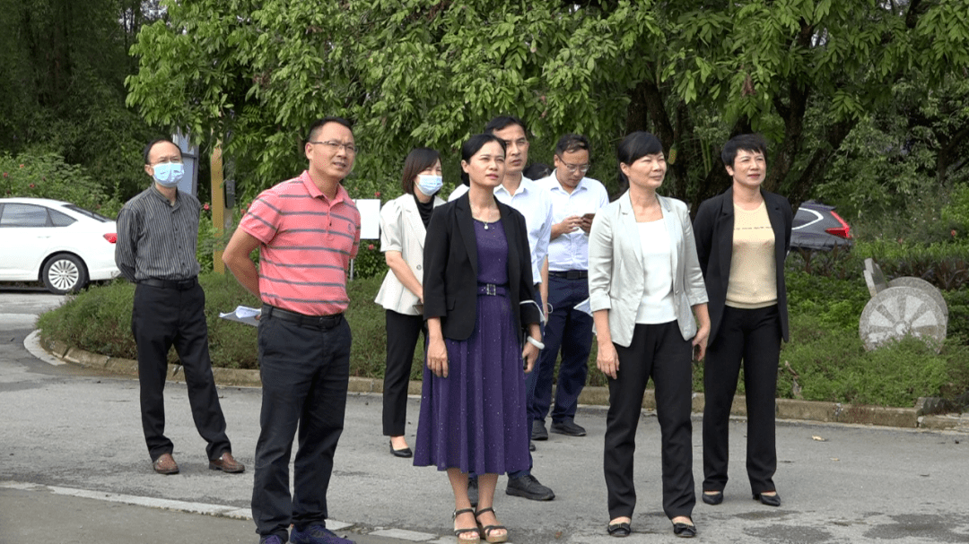 韦朝晖到江州区调研旅游民宿大会筹备工作