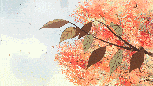 48小时降温10℃!一波降温,降水伴大风即将到来