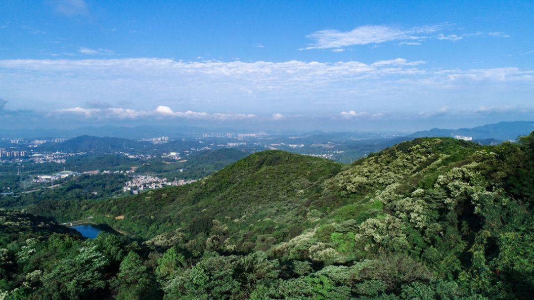 油麻山森林公园