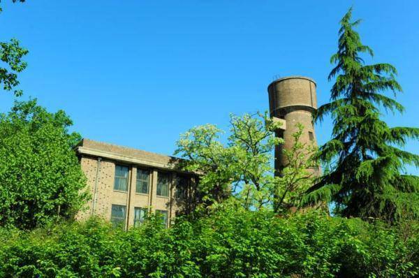 北京残奥会坐式排球比赛举办地如今这里是农大重要活动的集会地也成为