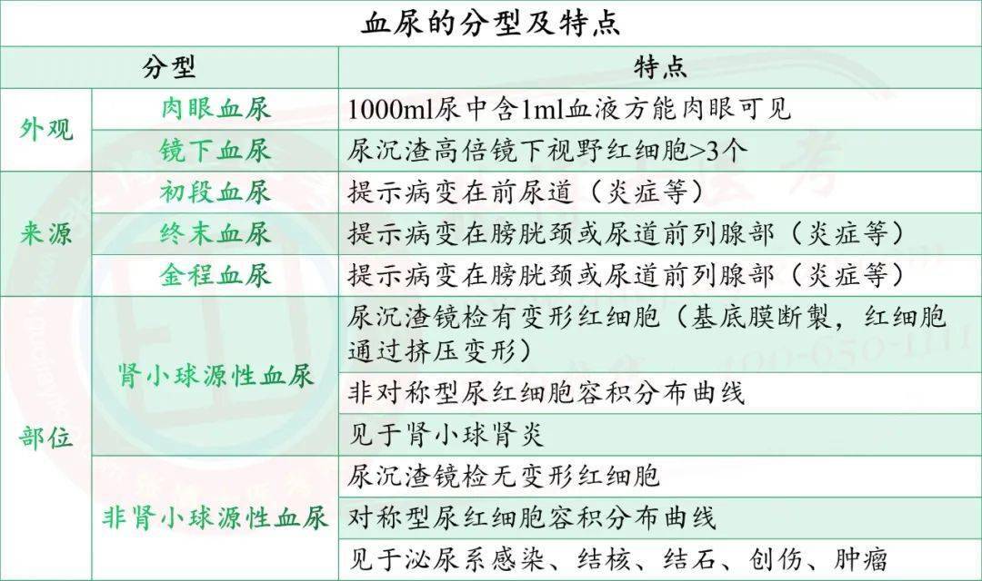 【临床】泌尿系统知识点(5)