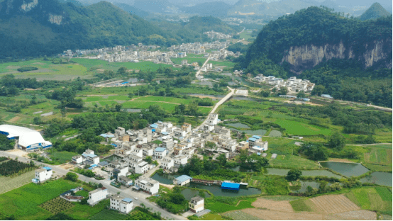 而距离上林县8公里外的西燕镇北林村,地处大明山泉,大龙湖干渠,东敢