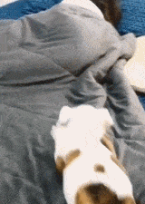 不起床就把你亲醒 返回搜             责任编辑