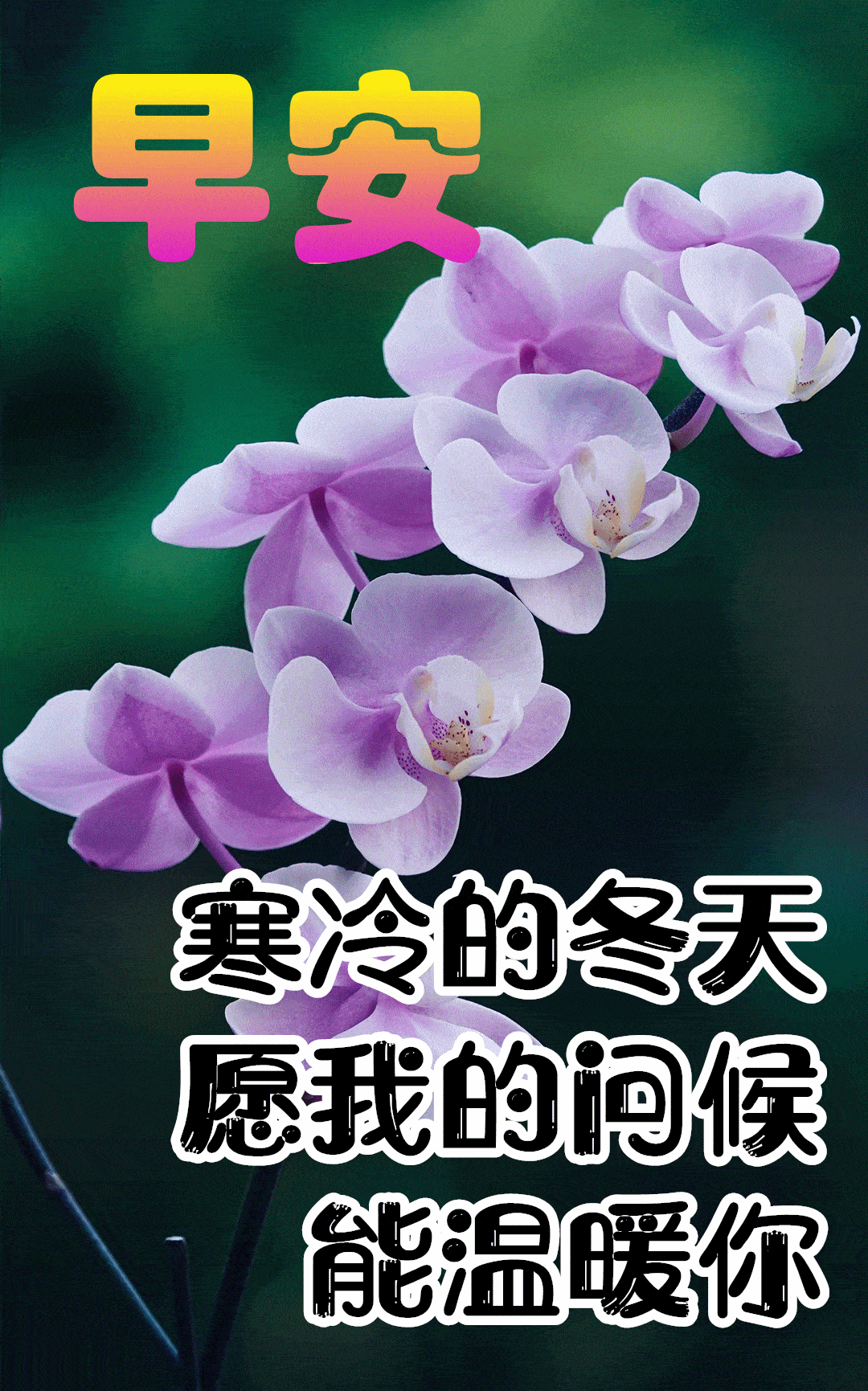 10月18日最漂亮早上好动态表情图片大全,早晨好动图美图大全