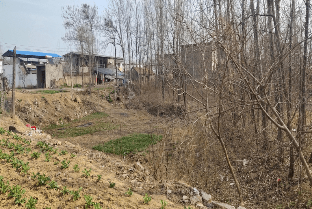【作者简介】苏青龙,河南省许昌市建安区河街乡陈胡村人,北宋苏辙二十