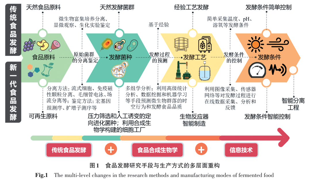 从全靠经验到精准可控的食品发酵技术未来或满足个性化和数字化的营养