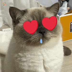 soogif表情 能用gif说的事,咱别瞎bb 欢迎各位小伙伴积极留言哦