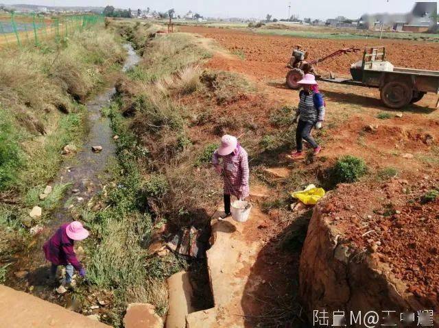 陆良这个镇打捞,搬运河面及沿岸生活垃圾100余吨.