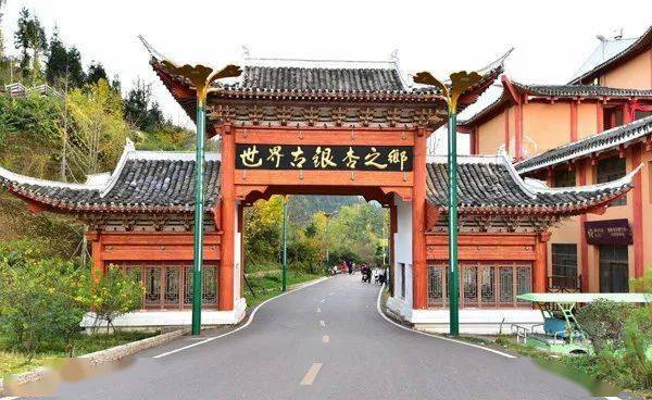 盘州旅游06318起住进世界古银杏之乡为与你相遇妥乐下了一场银杏雨