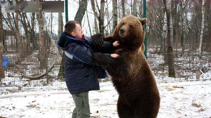棕熊突袭俄罗斯钓友被反杀,"战斗民族"如此彪悍?并非那么回事
