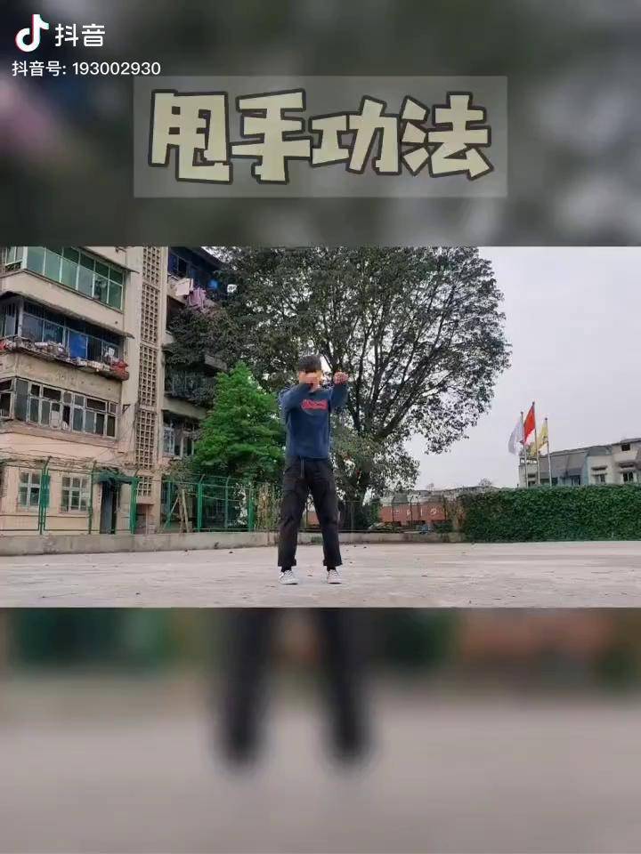 甩手功法传统武术太极拳形意拳武术训练