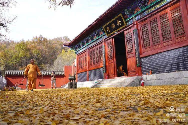 文殊寺,又名"俺窟沱寺",位于河南省平顶山市鲁山县四棵树乡平沟村中