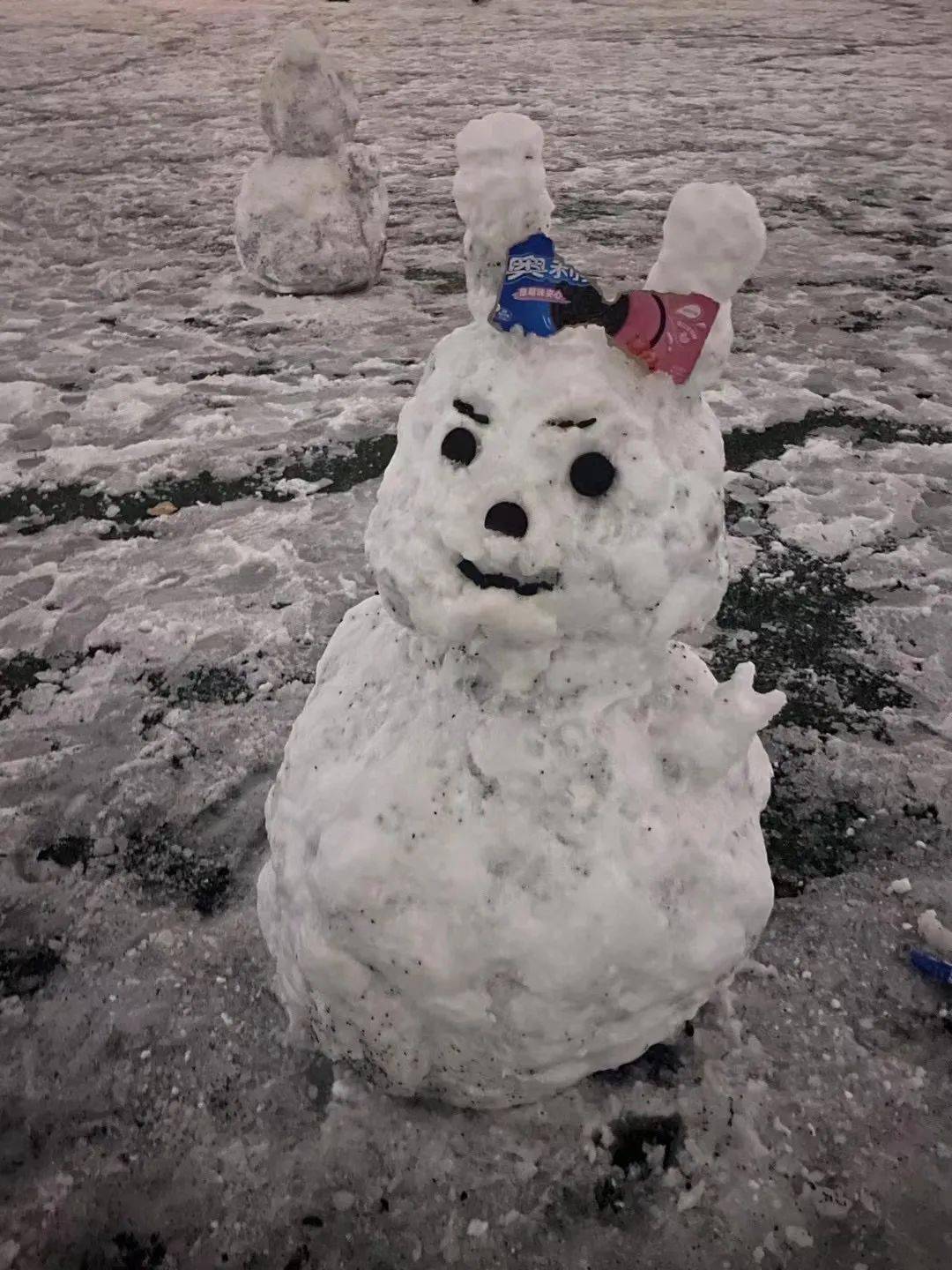 清华大学堆雪人大赛正式拉开帷幕!