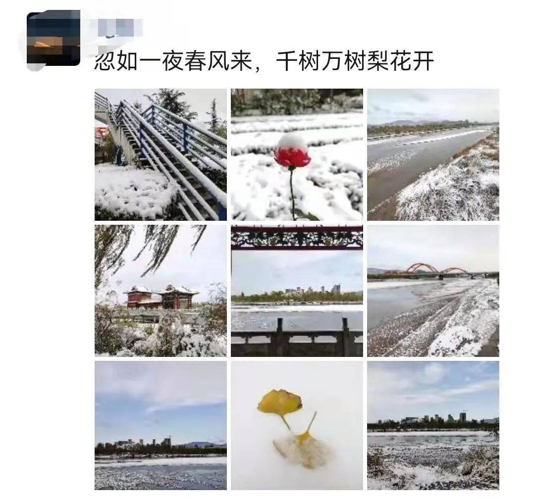 降雪到货一夜入冬临汾东西南北雪景刷屏了