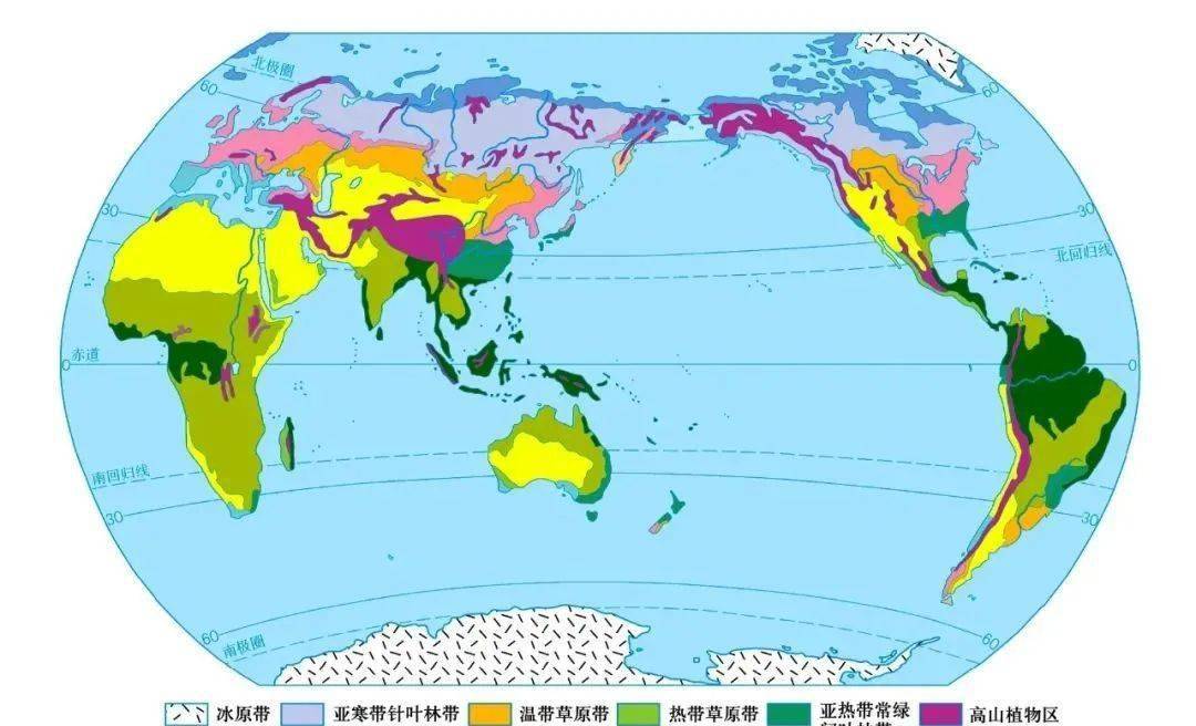 高中地理必备高清地图和省区地形行政区划图_世界