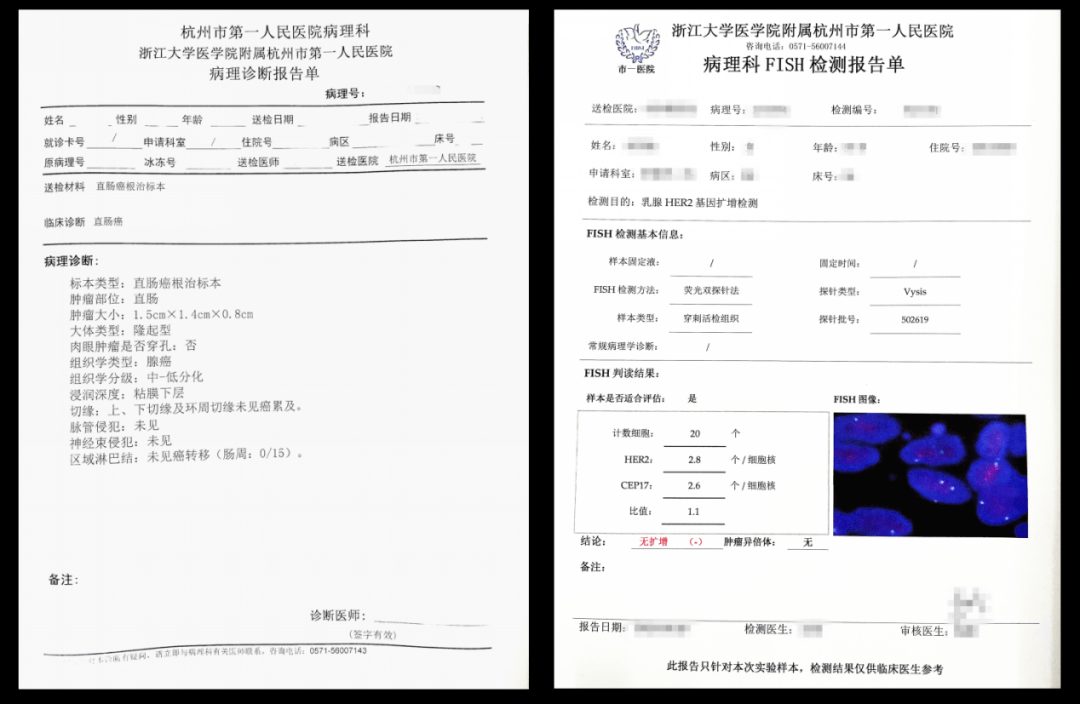 判决书——病理诊断报告单