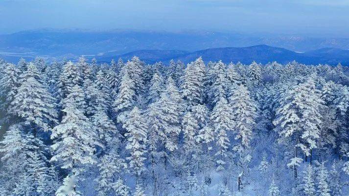 这个冬天,相约林都伊春,尽享冰雪欢乐,超多冰雪奇景和欢乐玩法,邀您与