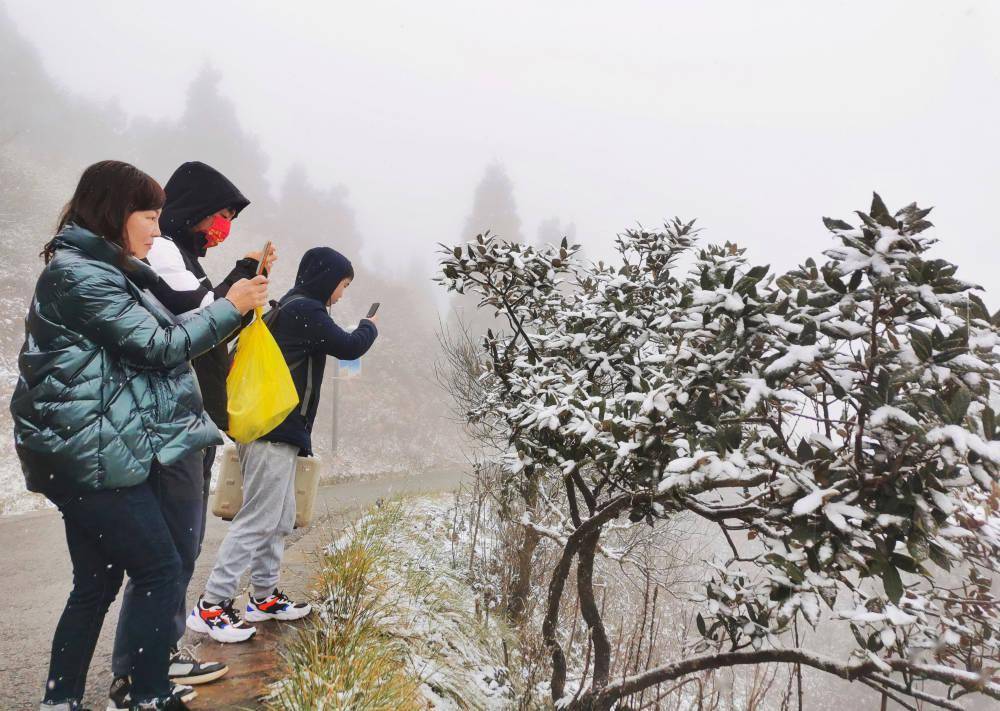 金佛山下雪啦山顶飘起漫天雪花