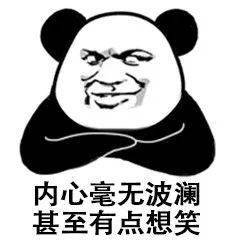 熊猫头日常斗图必备表情包