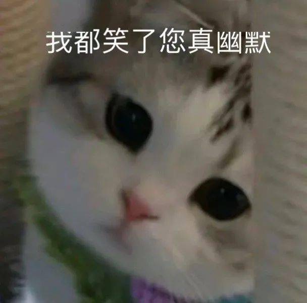 你们的表情包大户上线了!快来存图_熊猫头