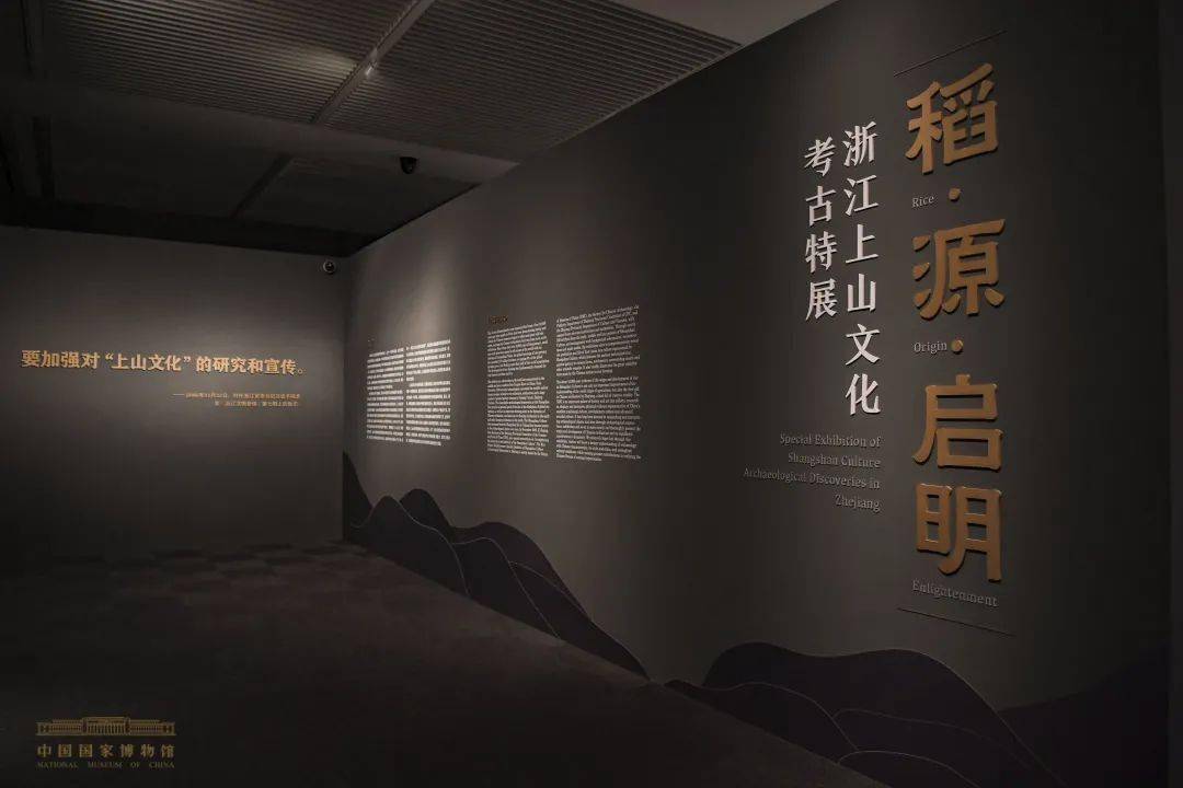 看最早的稻米与村落,国博呈现上山考古特展