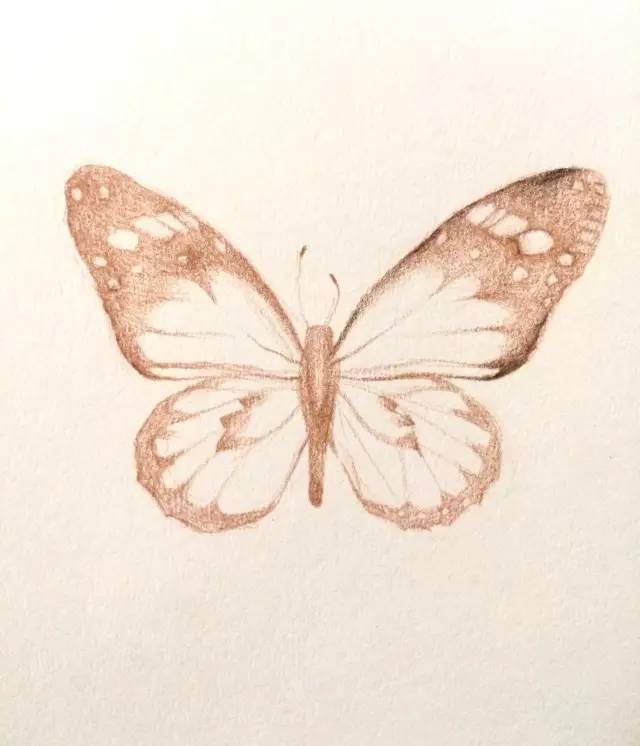 教你画简单的彩铅蝴蝶